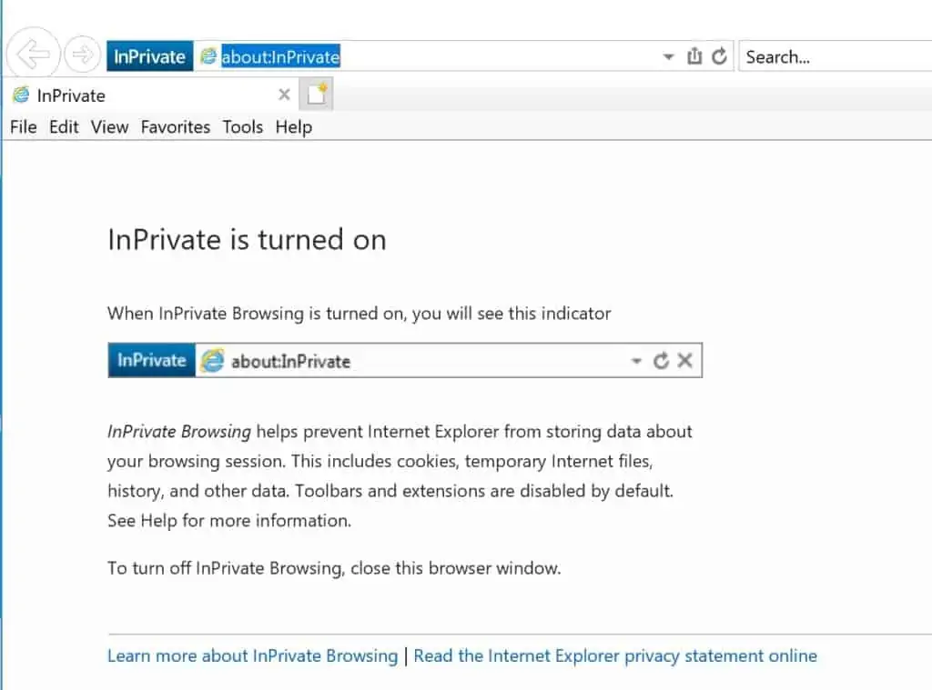 Internet Explorer InPrivate Browsing Turned On