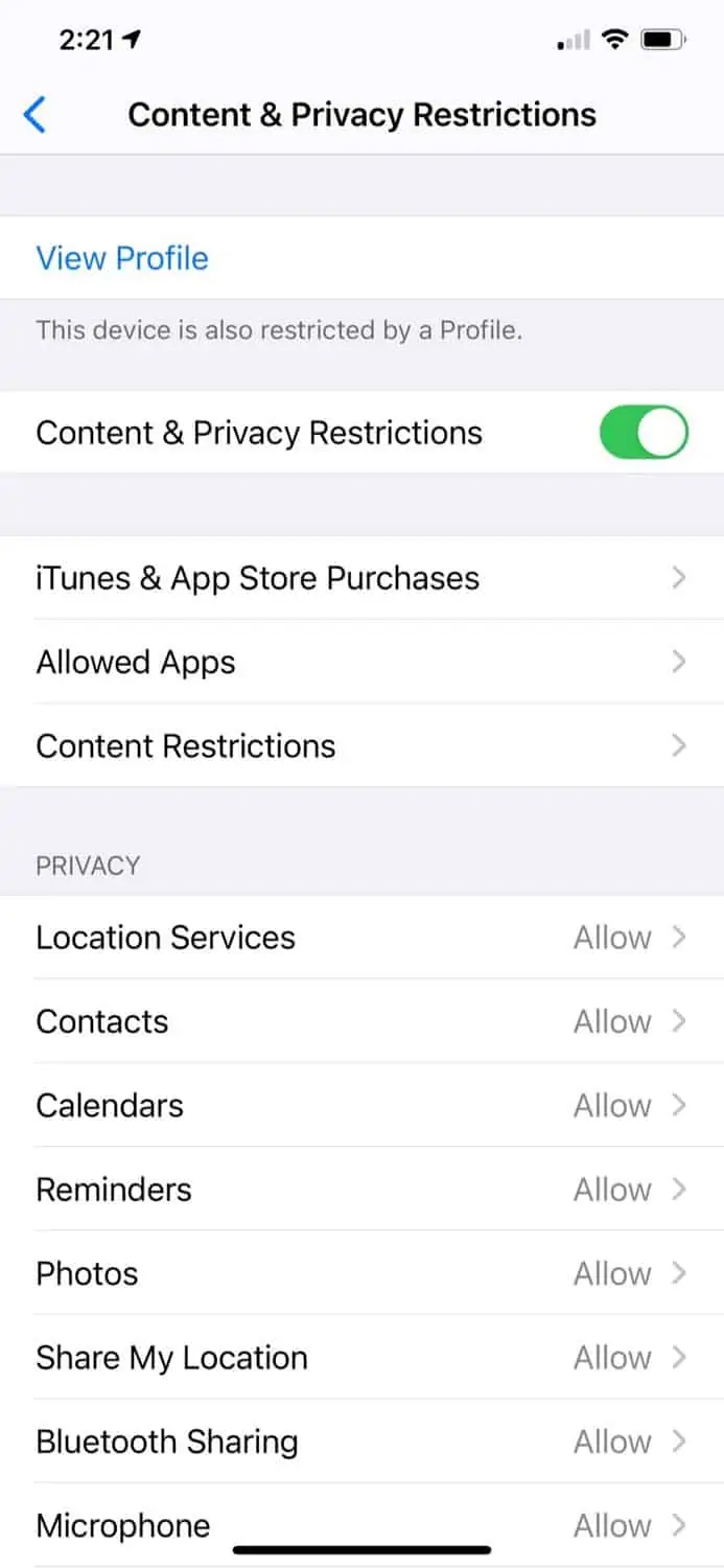 Screen Time: Content & Privacy Restrictions