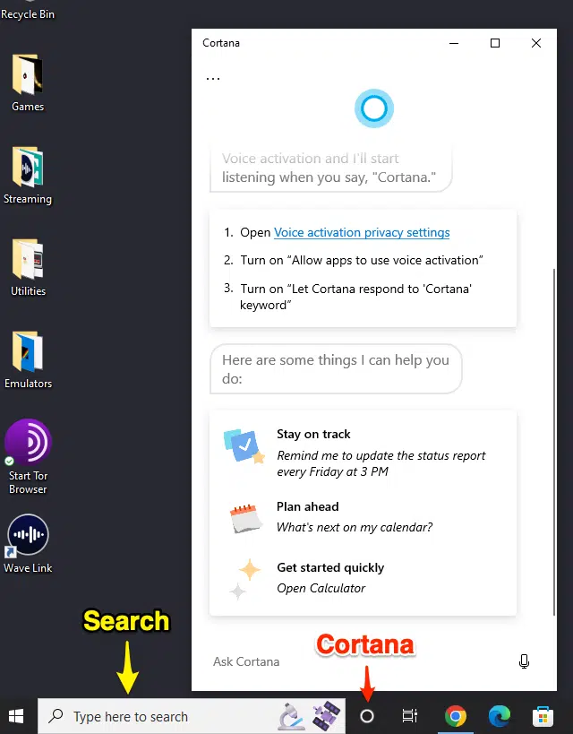 Search Cortana Screenshot 1