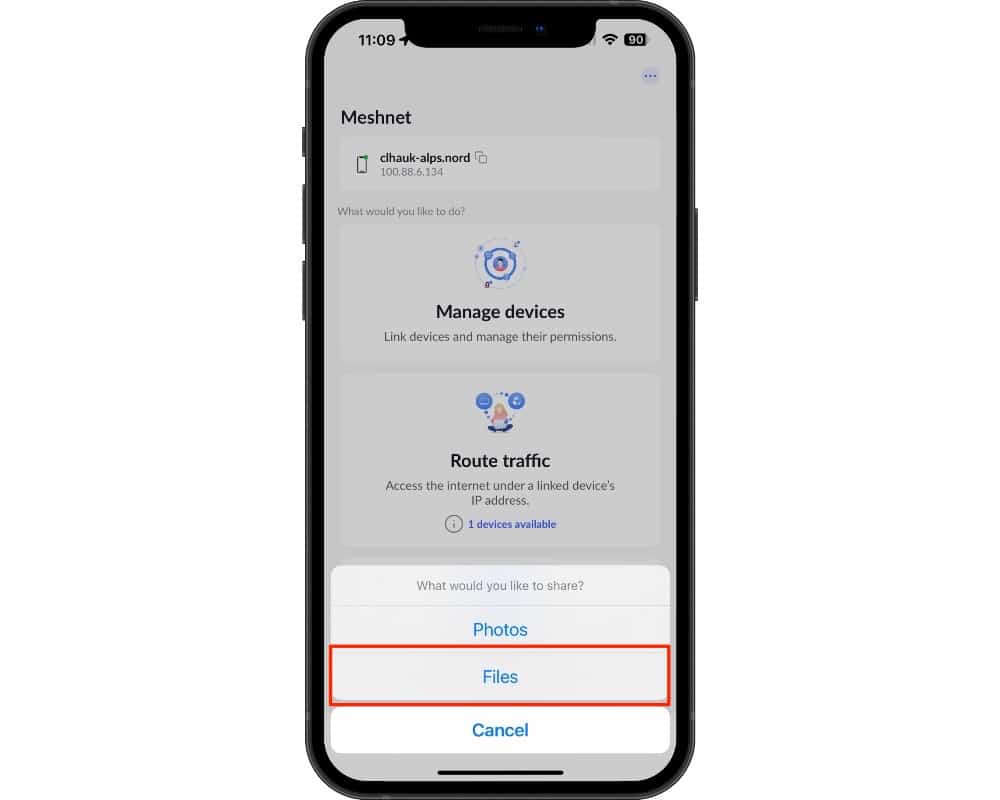 meshnet files option