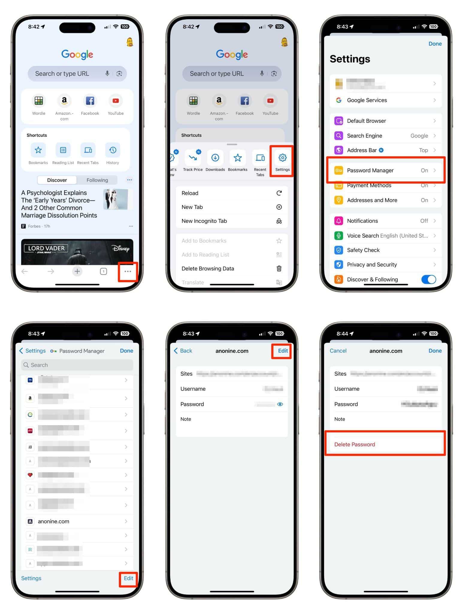 Google_Password_Manager_Delete_Single_iPhone_1